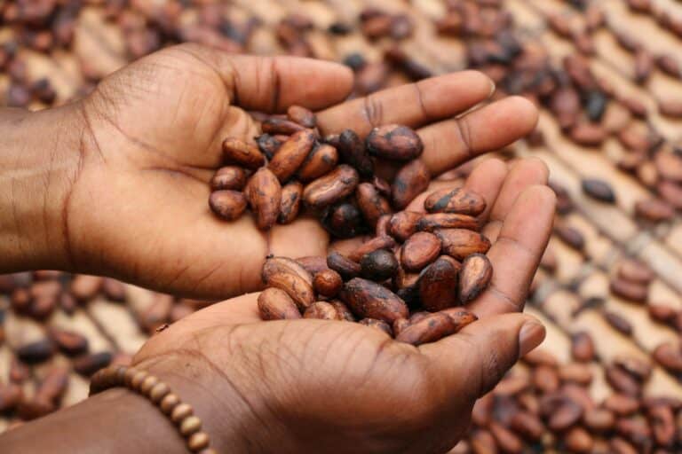 Artisanal vs Mass Produced Chocolate